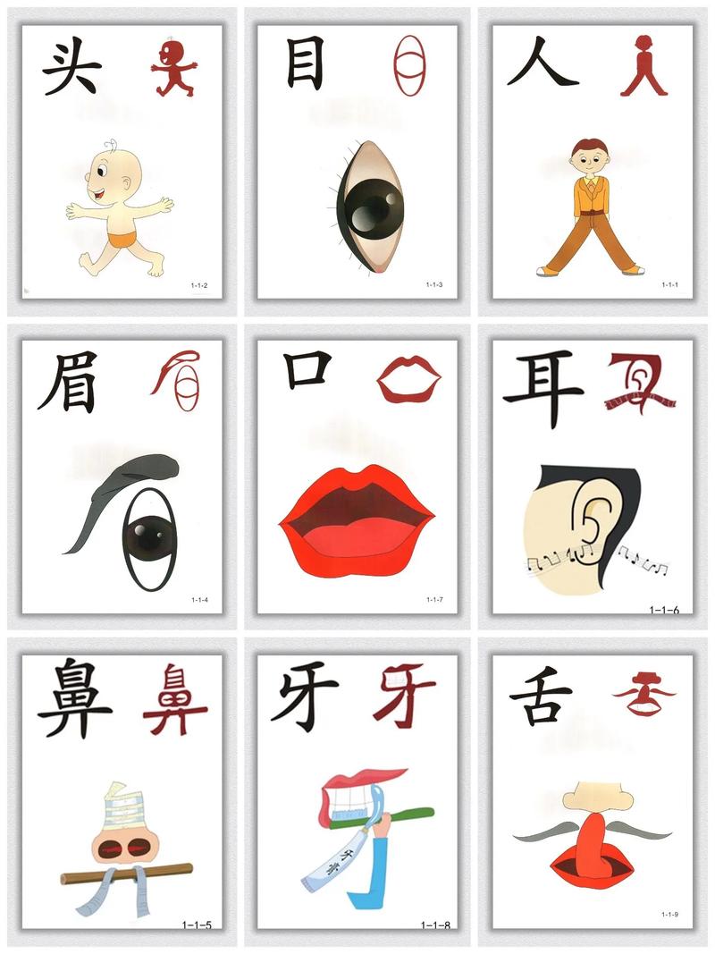 汉水之畔，传承国学精髓——武汉国学班的发展动态